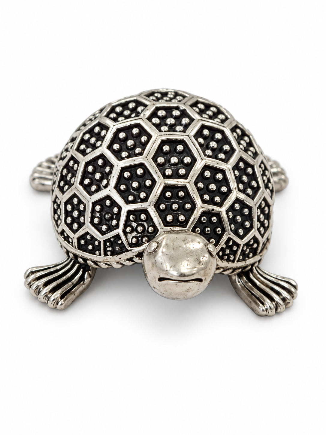 Tortoise Artifact