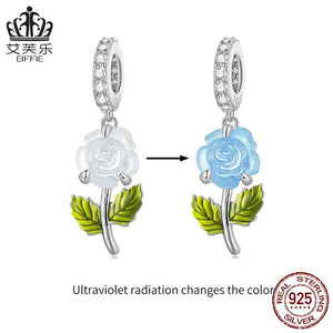 Color Changing Rose - MIO20250619, MIO20250620