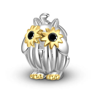 Owl - MIO20250491, MIO20250492