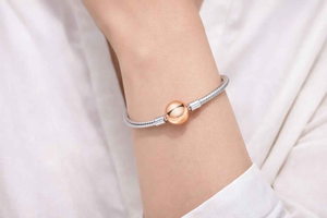 Snake Chain Charm Bracelet