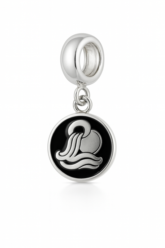 Aquarius Zodiac Charm | Silver Finish with Black/Blue Enamel | Peekaboo Protect Collection