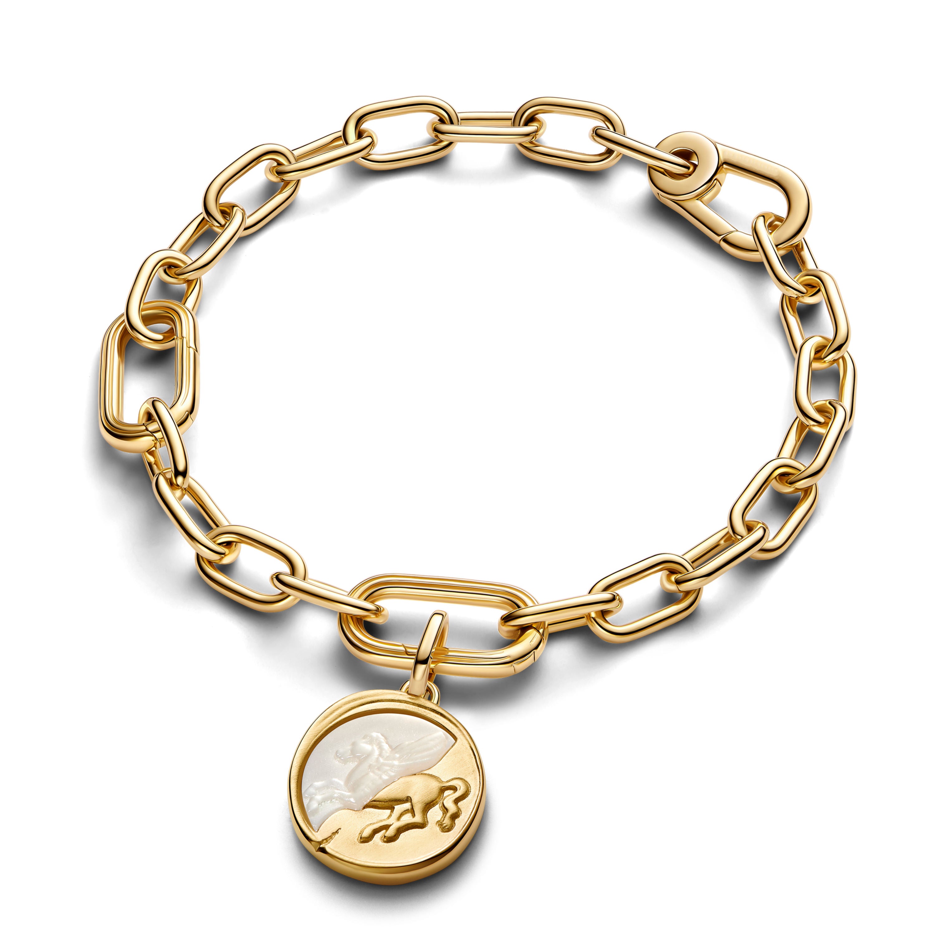 Medallion Charm Bracelet