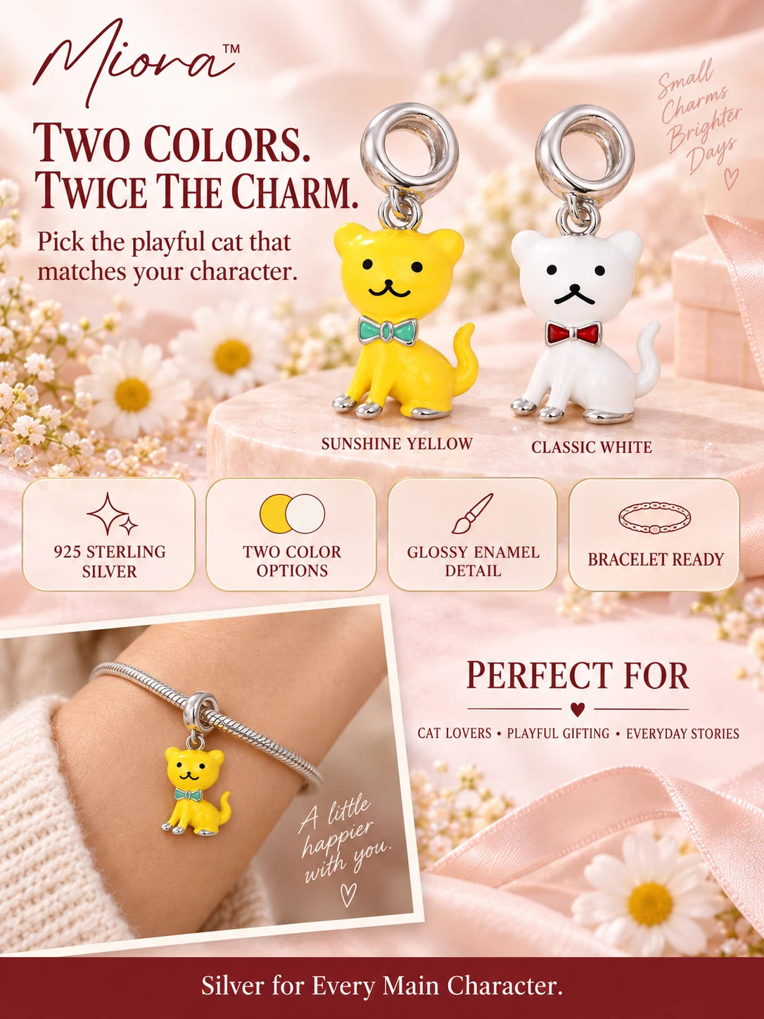 Cat Charm A+ content