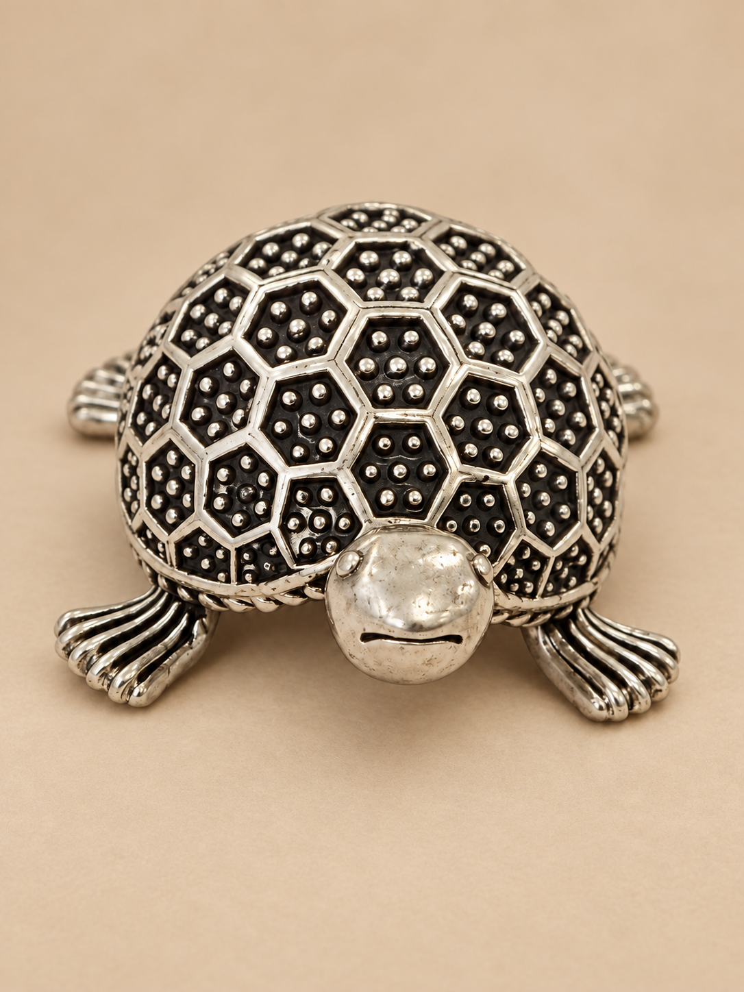 Tortoise Artifact