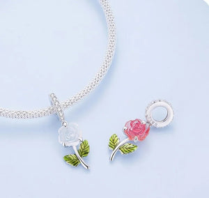 Color Changing Rose - MIO20250619, MIO20250620