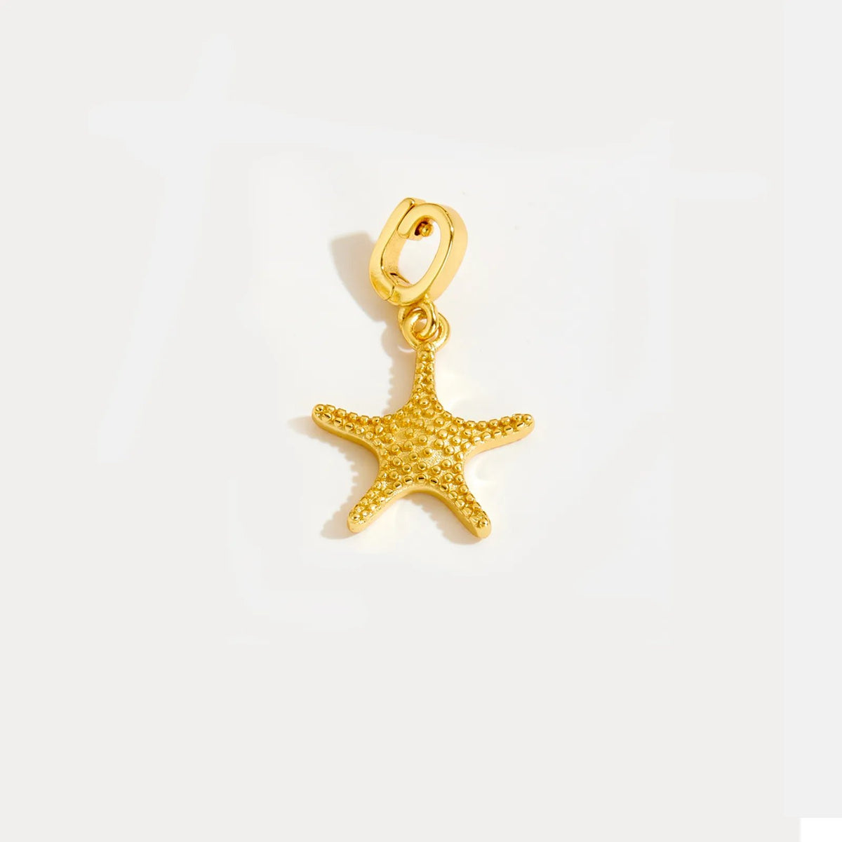 Starfish - MIO20250572