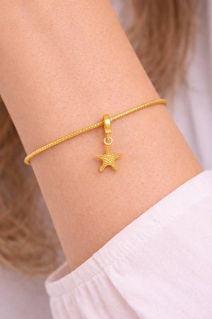 Starfish - MIO20250572